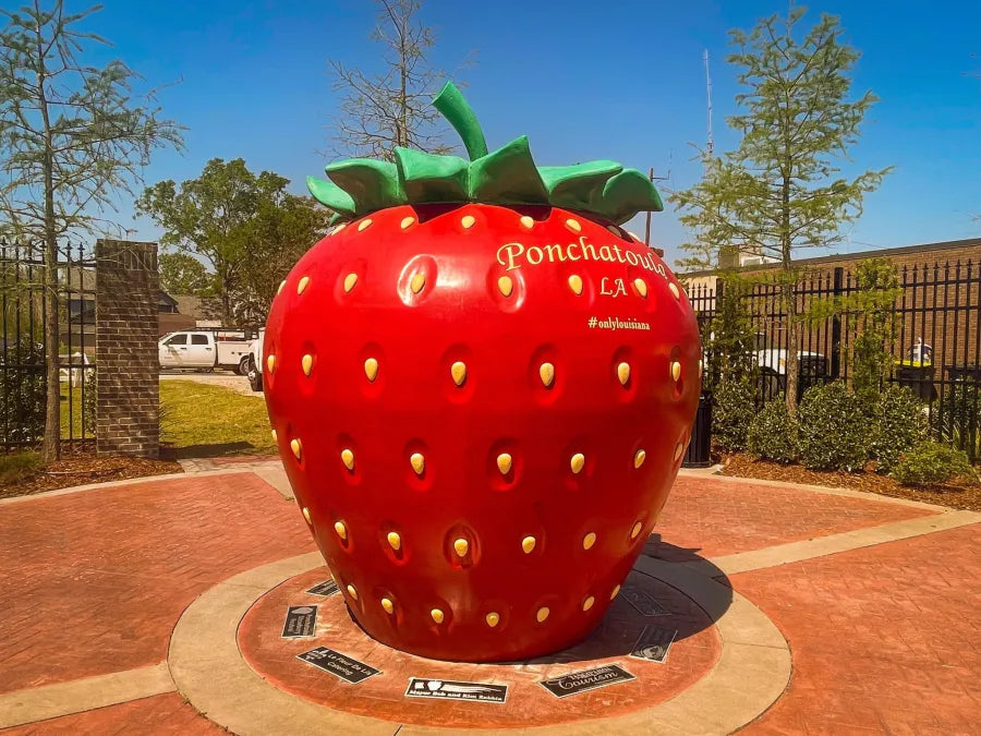 Strawberry Fest kicks off on the Northshore