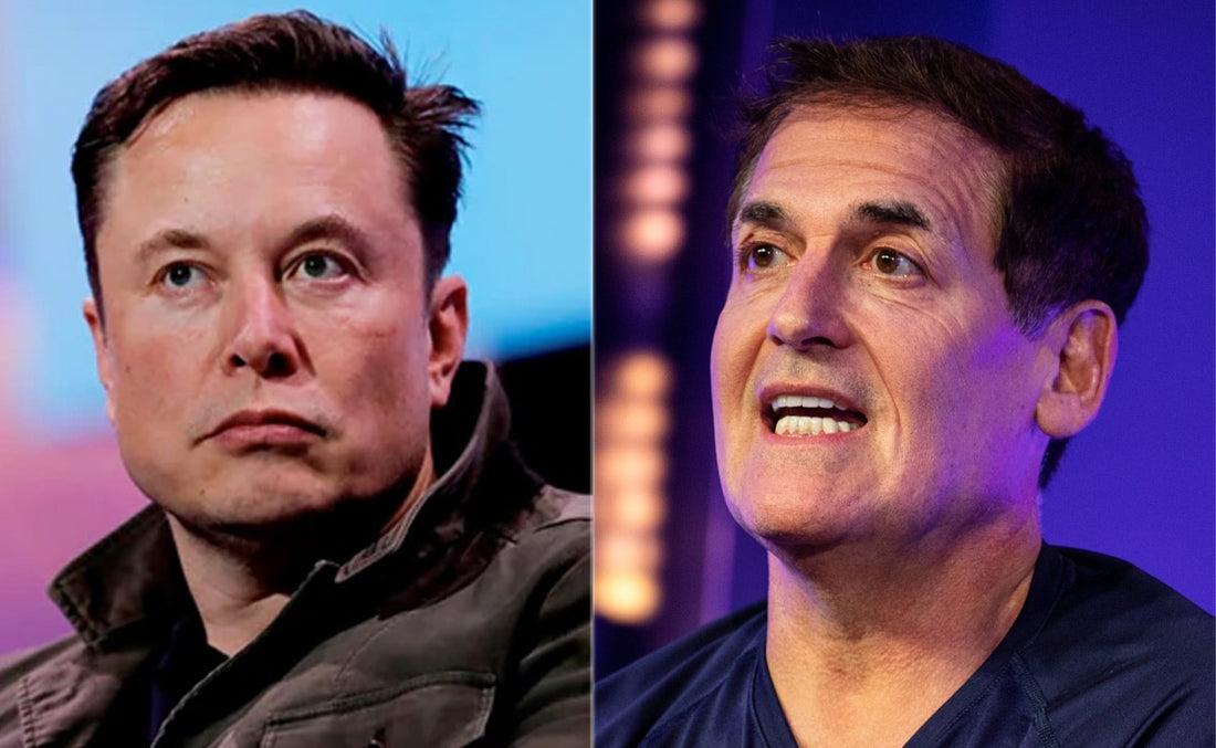 Elon Musk calls Mark Cuban 'racist' for supporting DEI programs