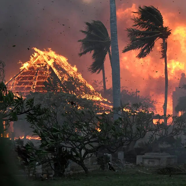 Wildfires in Maui have killed over 50 people, leaves neighborhoods in ashes