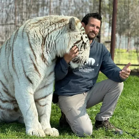 Tiger Trainer Mauled to Death During Live Show at Oklahoma Preserve