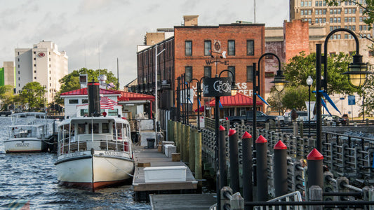 Wilmington, SC: Rich countryside and coastal beauty